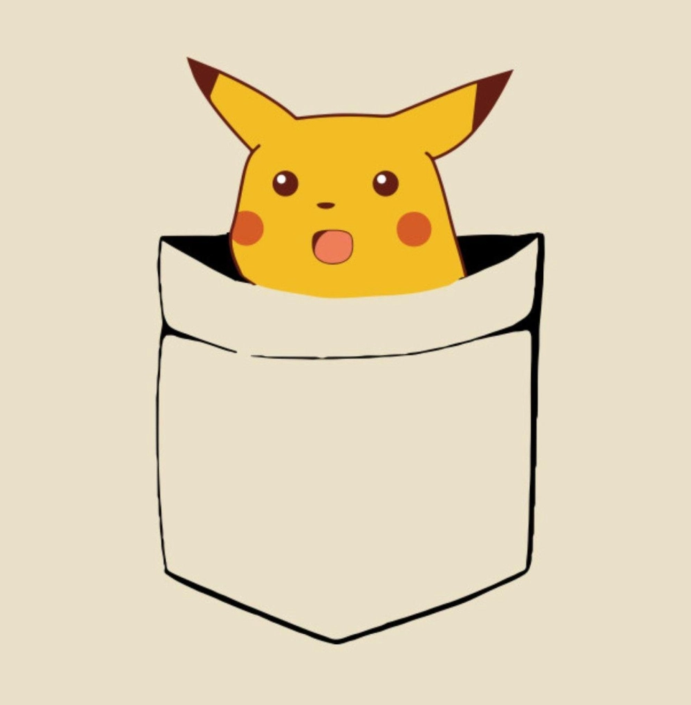 meme pikachu 11