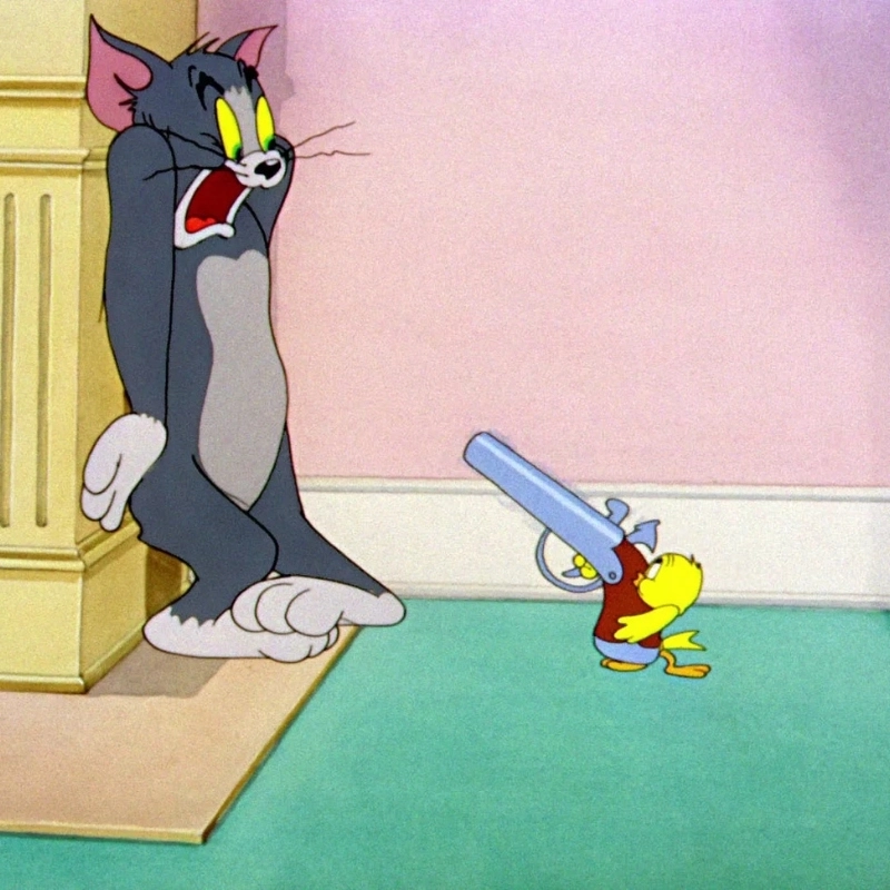 meme mèo Tom 12