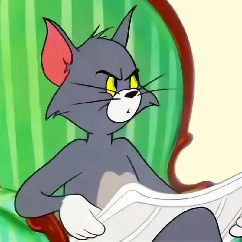 meme mèo Tom 13