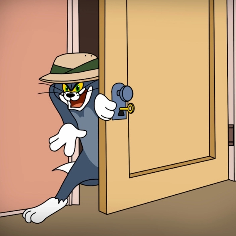 meme mèo Tom 15