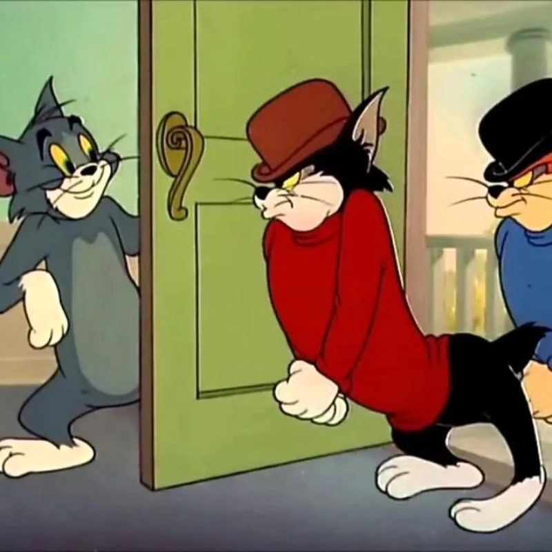 meme mèo Tom 32