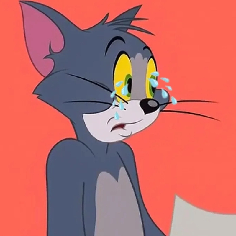 meme mèo Tom 33