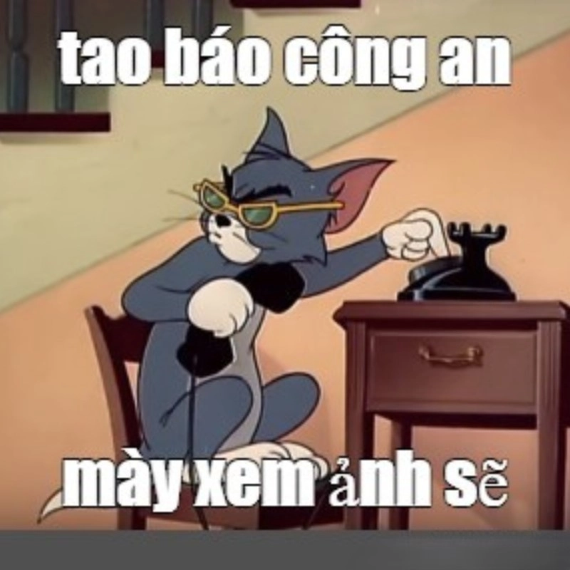 meme mèo Tom 37