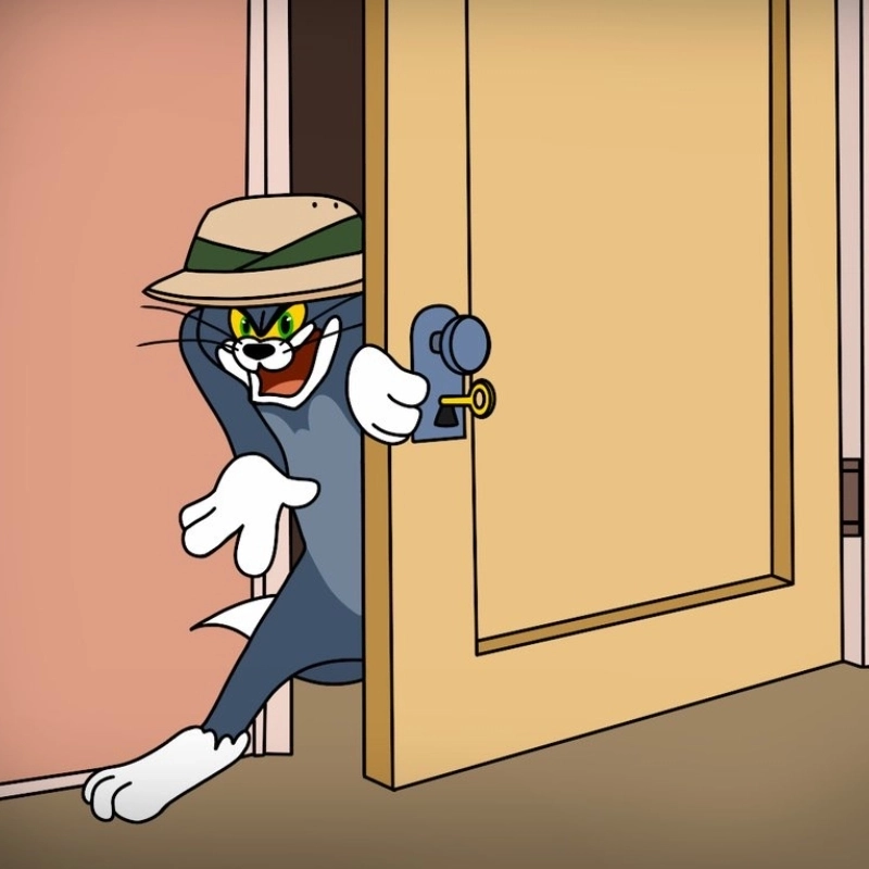 meme mèo Tom 23