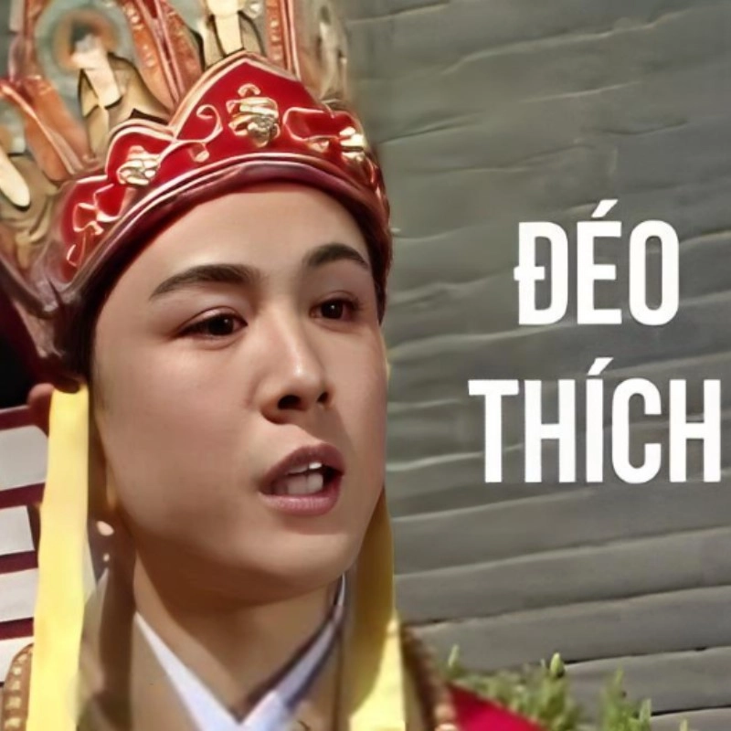 meme chửi 28