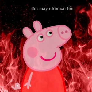 anh meme chui 8