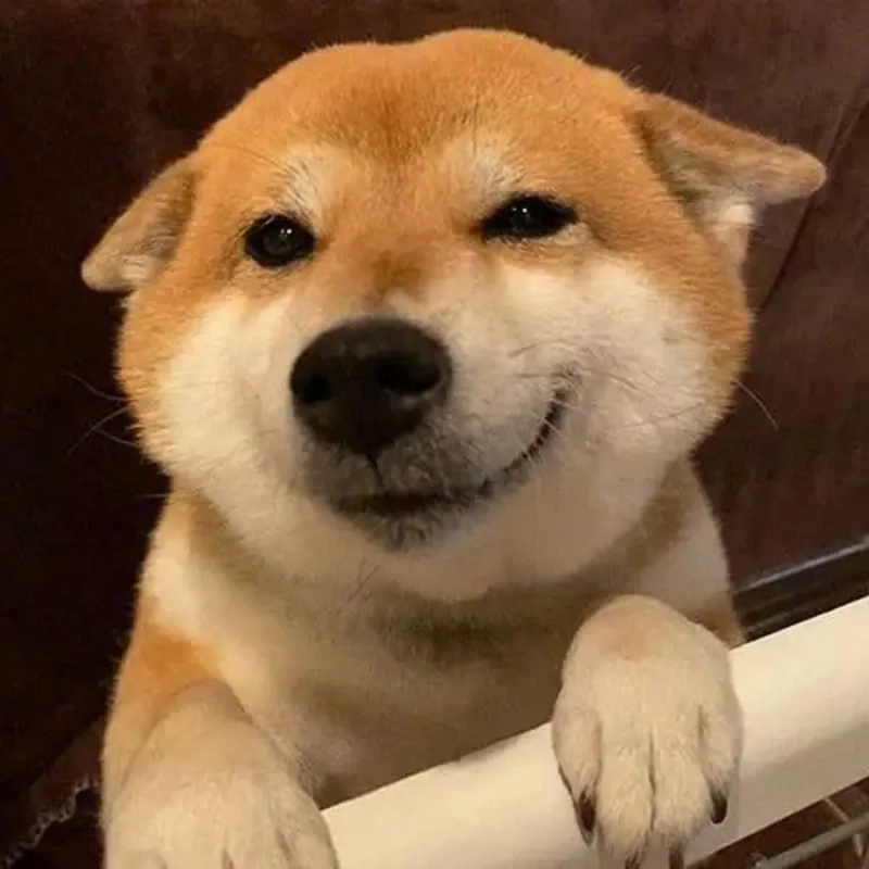 meme khinh bỉ 7