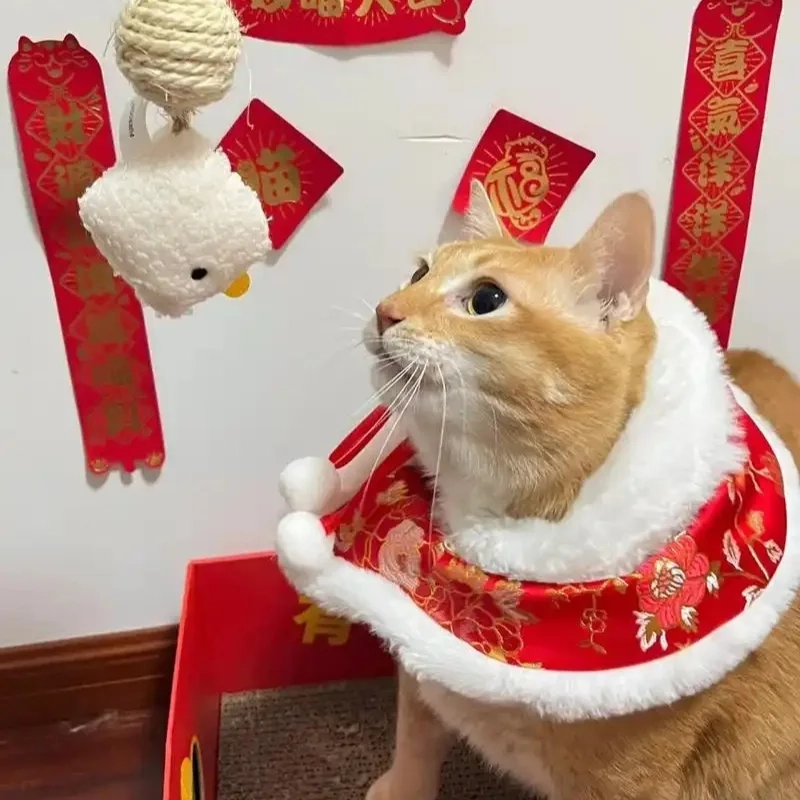 meme mèo Tết 13