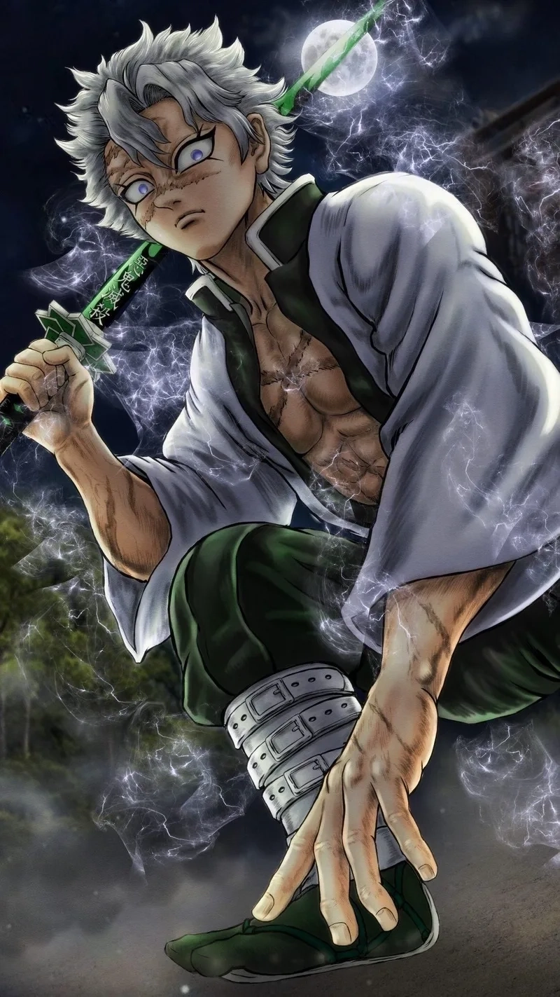 avatar Sanemi 12