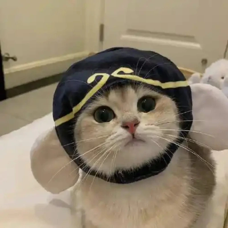 meme ảnh cute 42