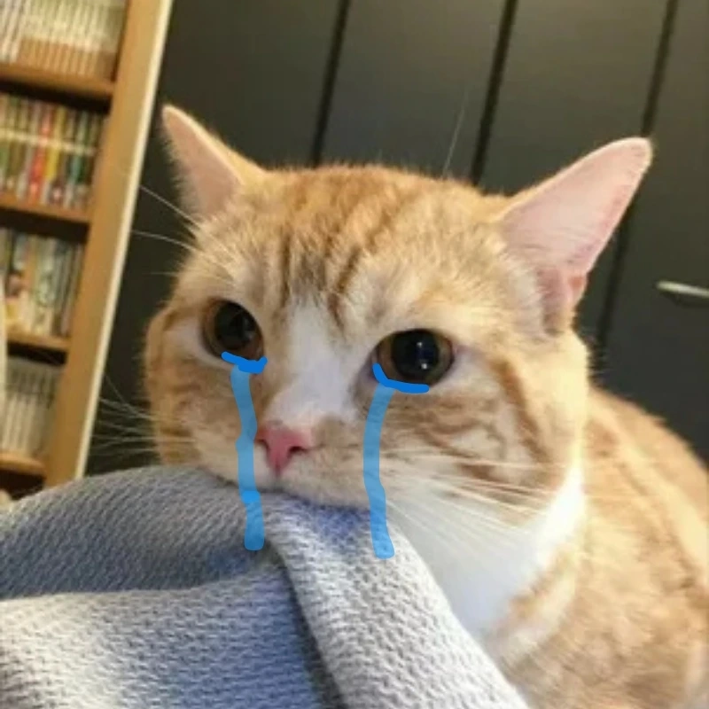 meme ảnh cute 32