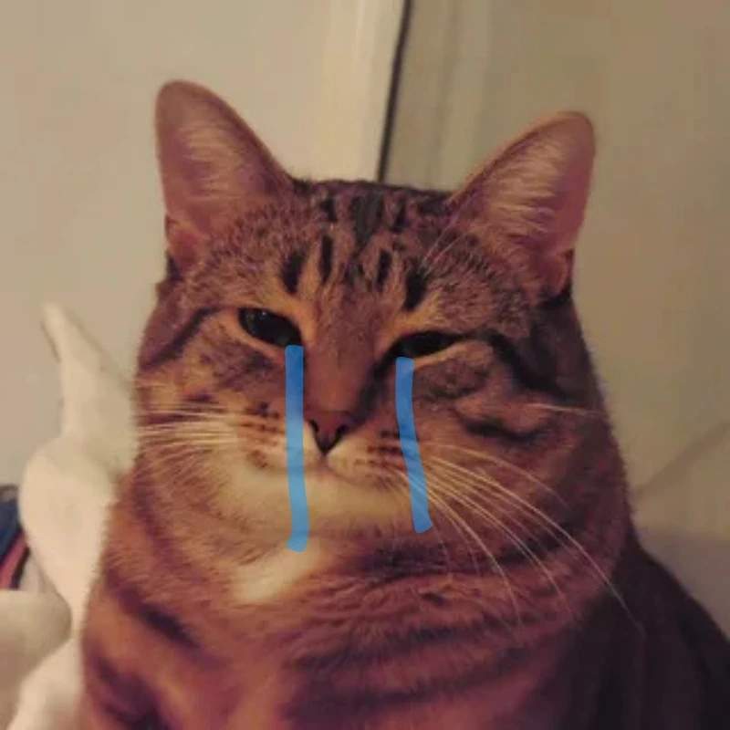 meme ảnh cute 34