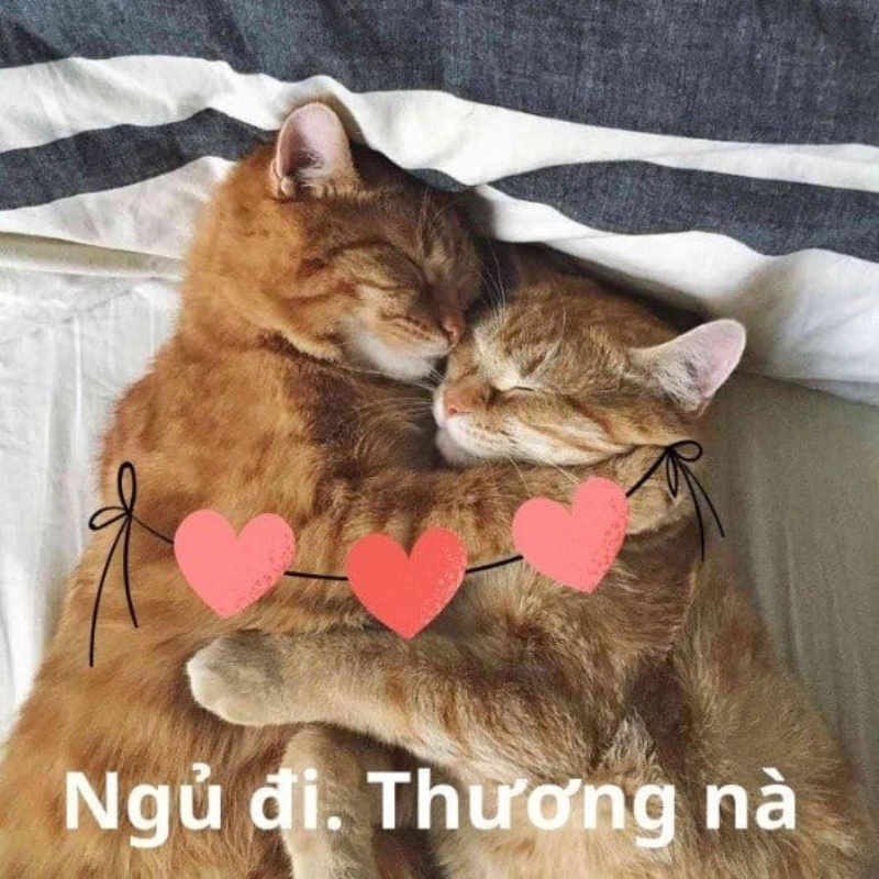 meme an ủi 3