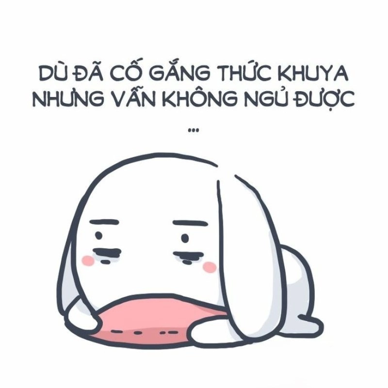 meme ngủ 20