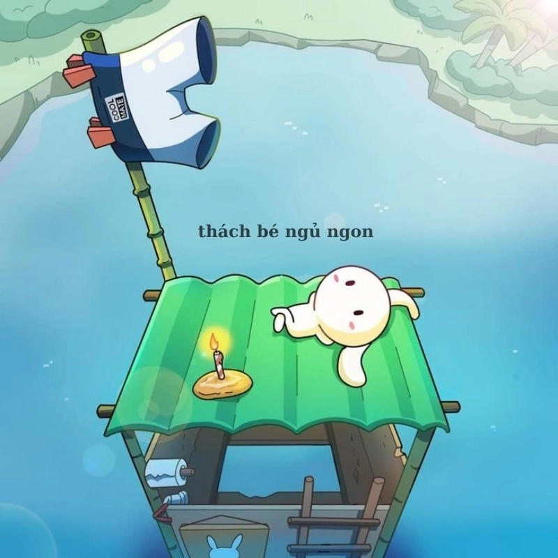 meme ngủ 23