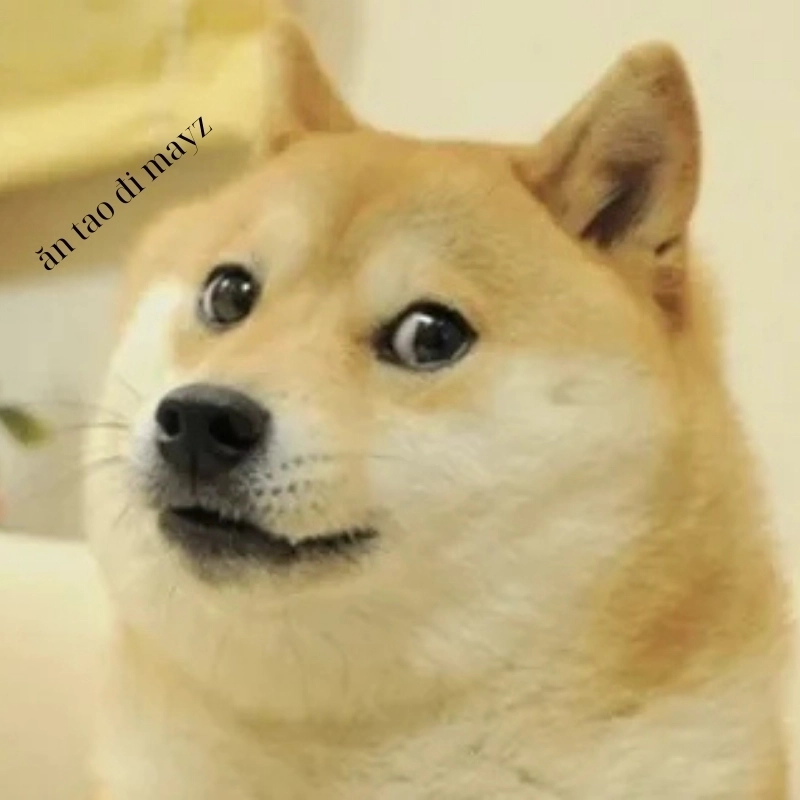 101 biểu cảm meme 12