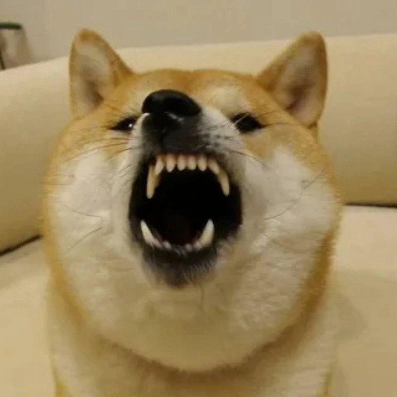 101 biểu cảm meme 13
