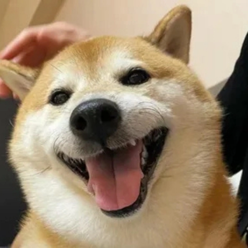 101 biểu cảm meme 16