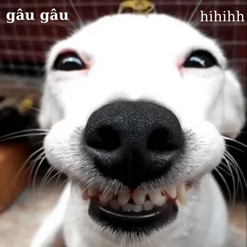 101 biểu cảm meme 18