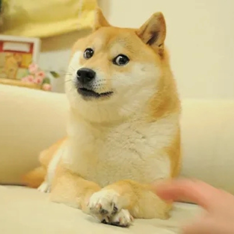 101 biểu cảm meme 3