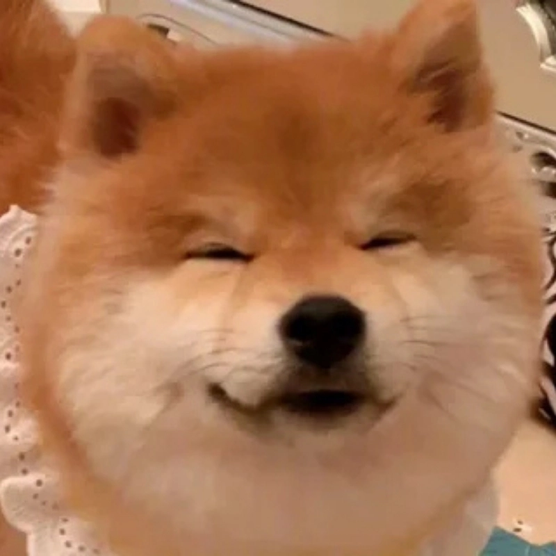 101 biểu cảm meme 5
