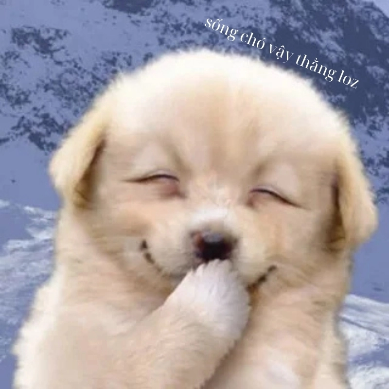 101 biểu cảm meme 10