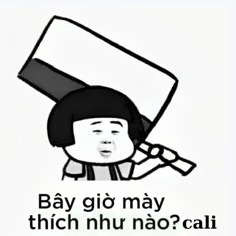 meme chửi 12