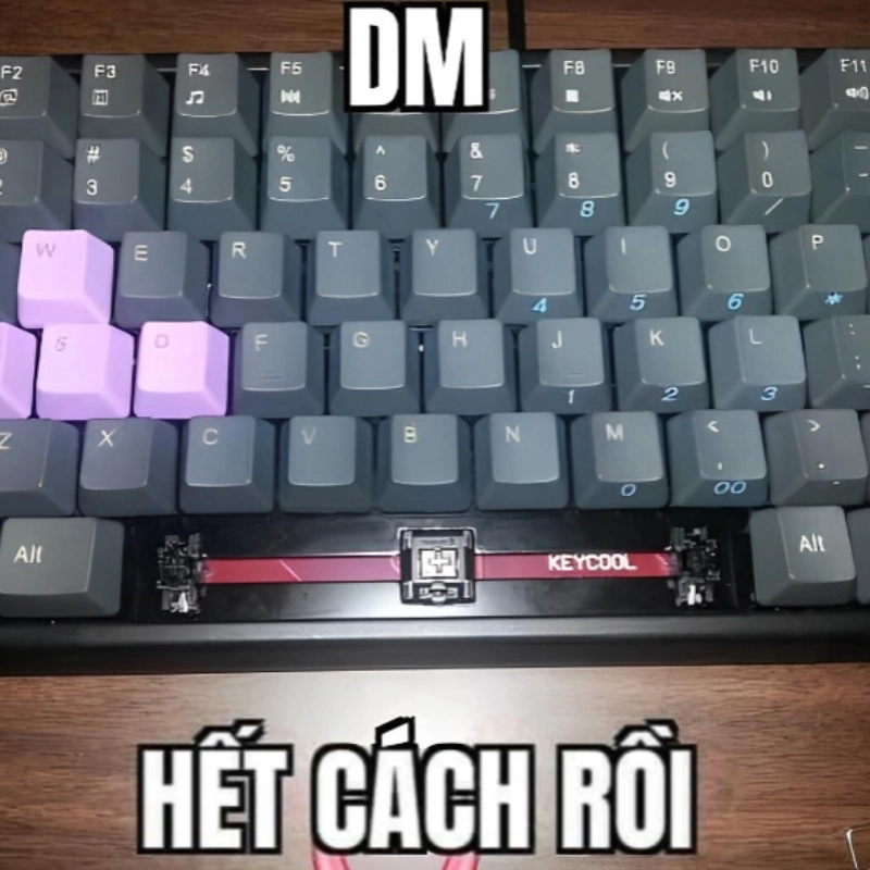 Meme hết tiền 13