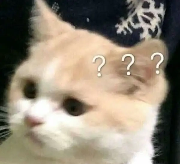 meme hỏi chấm 5