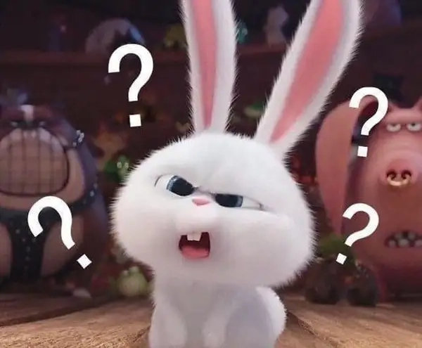 meme hỏi chấm 7
