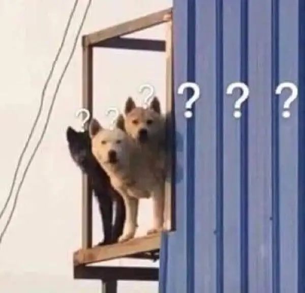 meme hỏi chấm 8