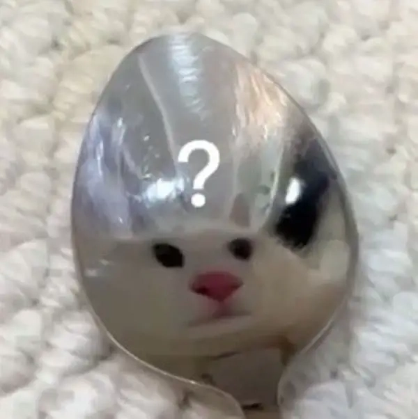 meme hỏi chấm 9