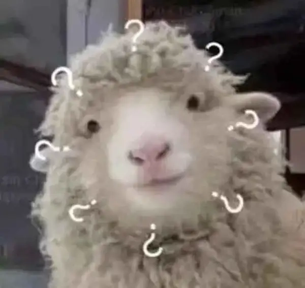 meme hỏi chấm 10