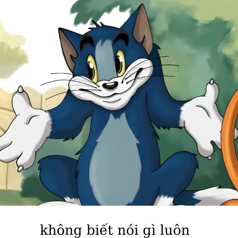 ảnh meme Không 17