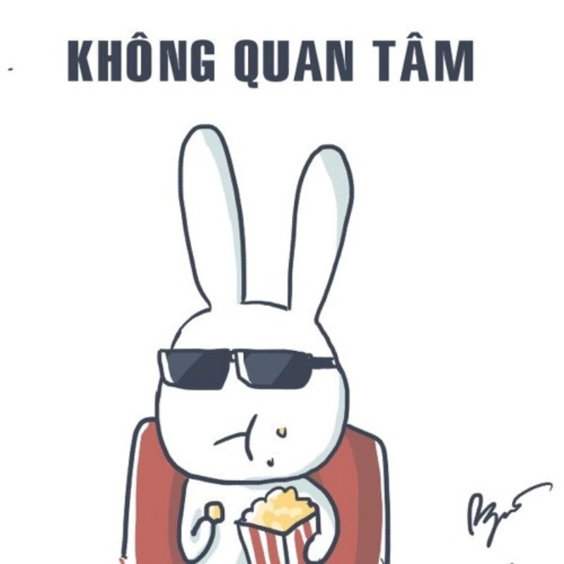 ảnh meme Không 1