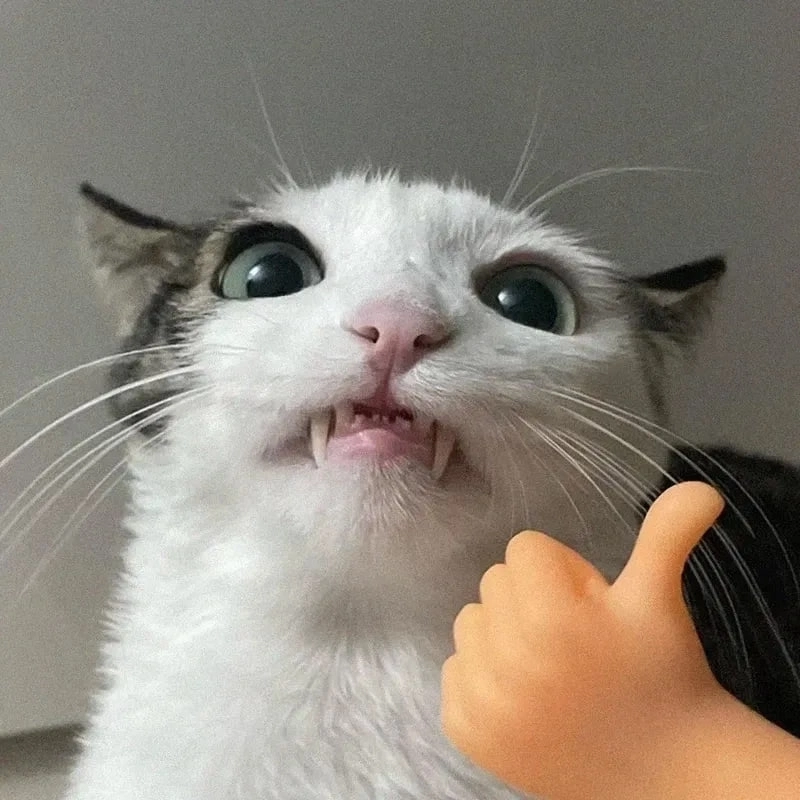 101 biểu cảm meme 88