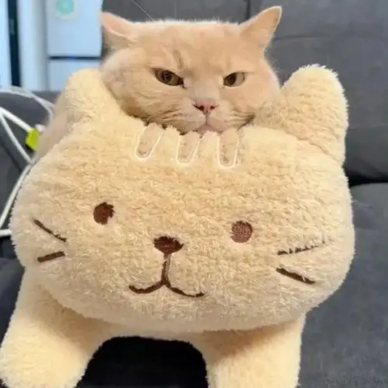ảnh chế meme mèo bựa 1