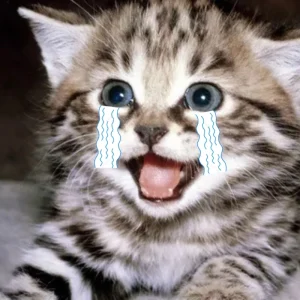 meme meo khoc