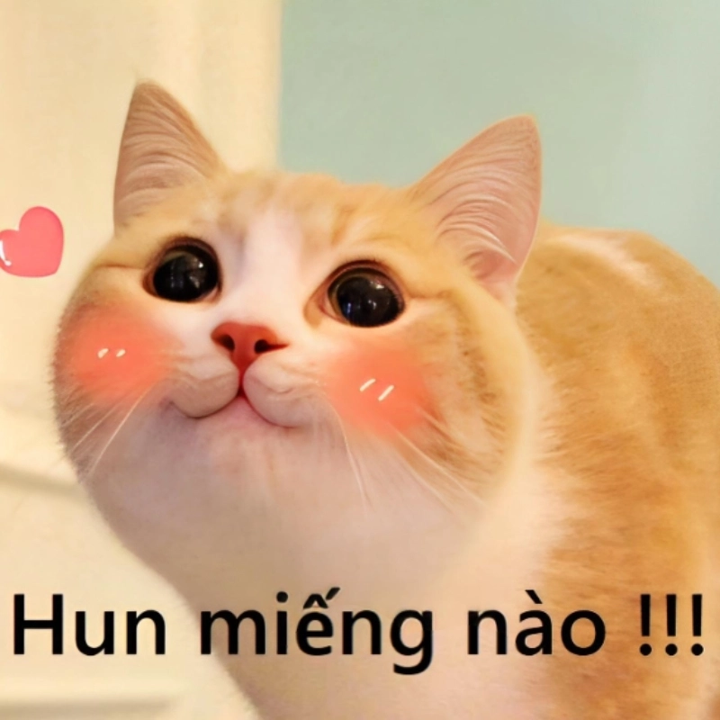 ảnh meme ngại 16