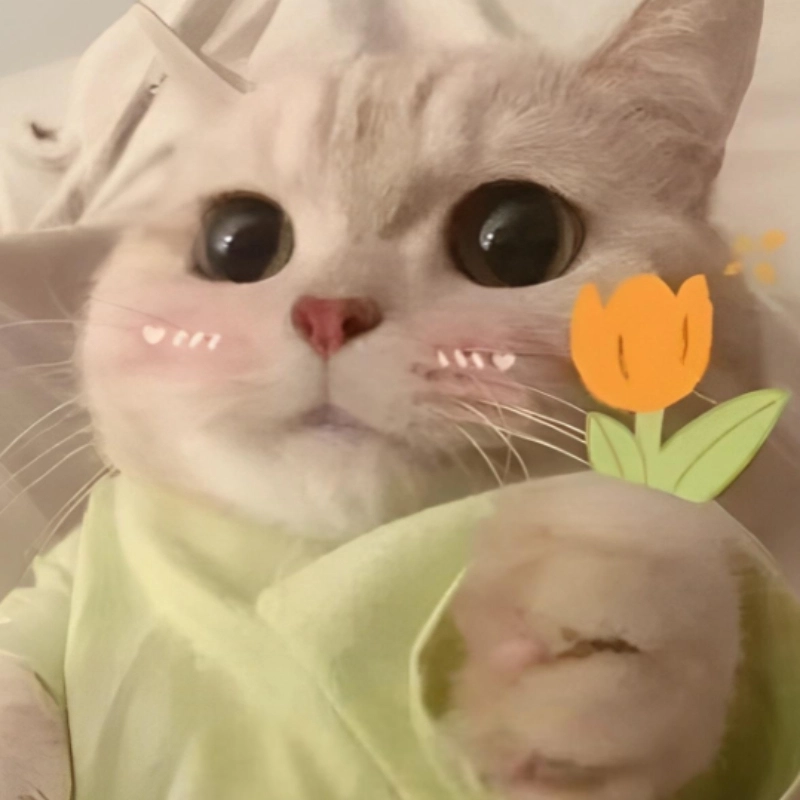 ảnh meme ngại 17