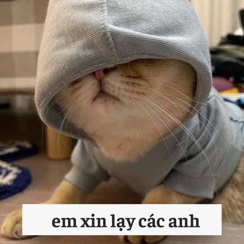meme lạy 3