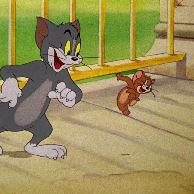 ảnh Meme Jerry 40