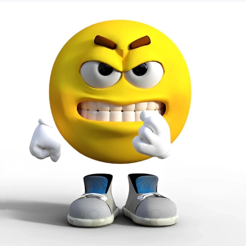 ảnh meme tức giận 19