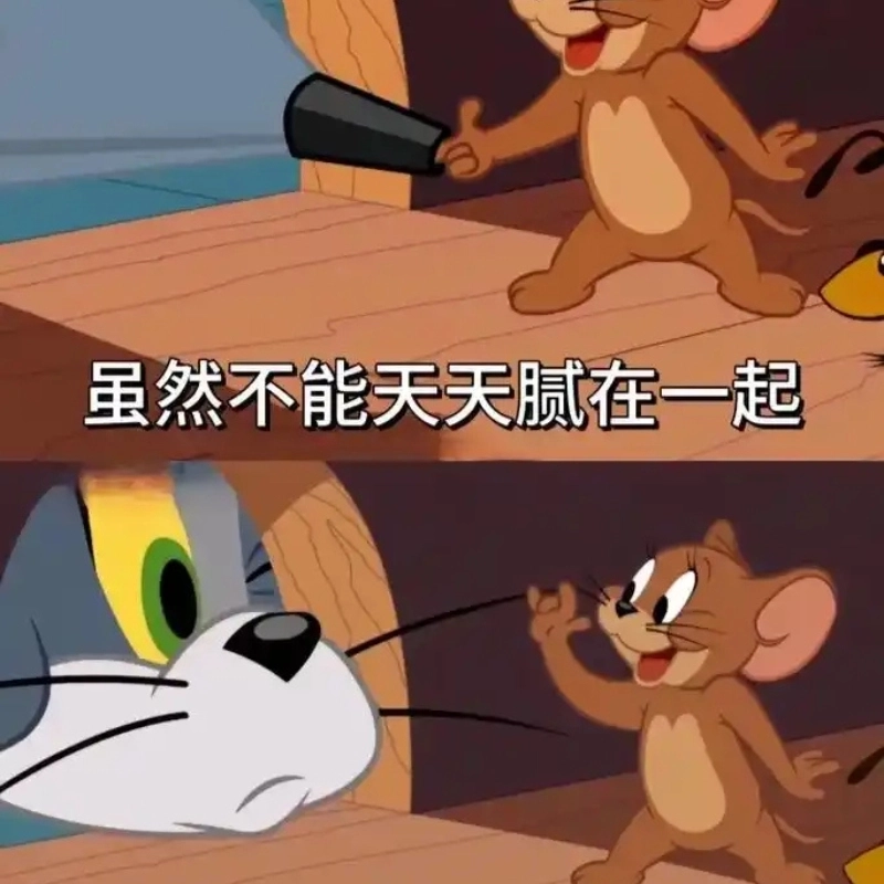 ảnh Meme Jerry 18