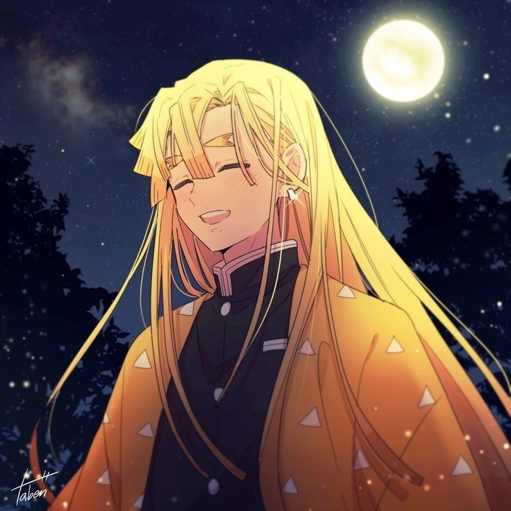 Zenitsu 13